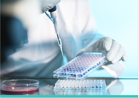 一次性脱蛋白检查手套（灭菌、有粉）